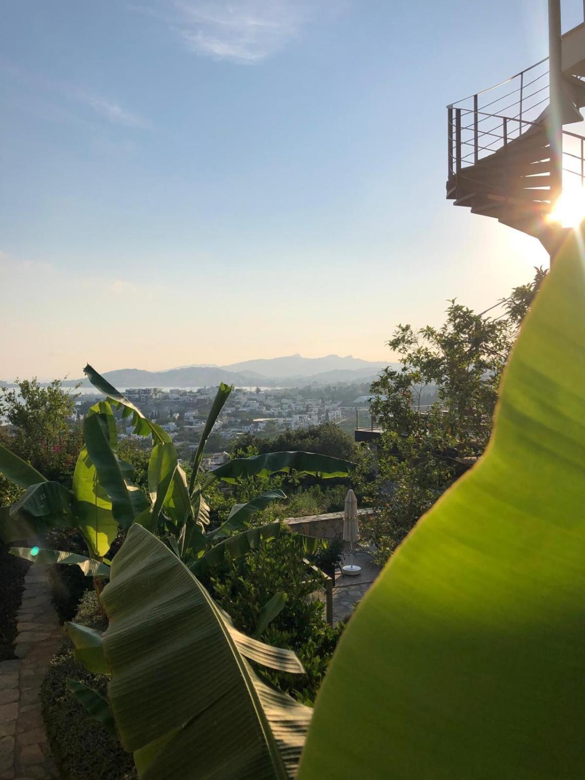 Spektr Boutique Hotel Yalıkavak Exteriér fotografie